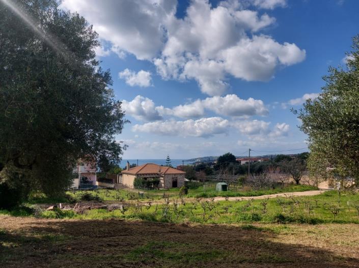Image No.1-Land for sale