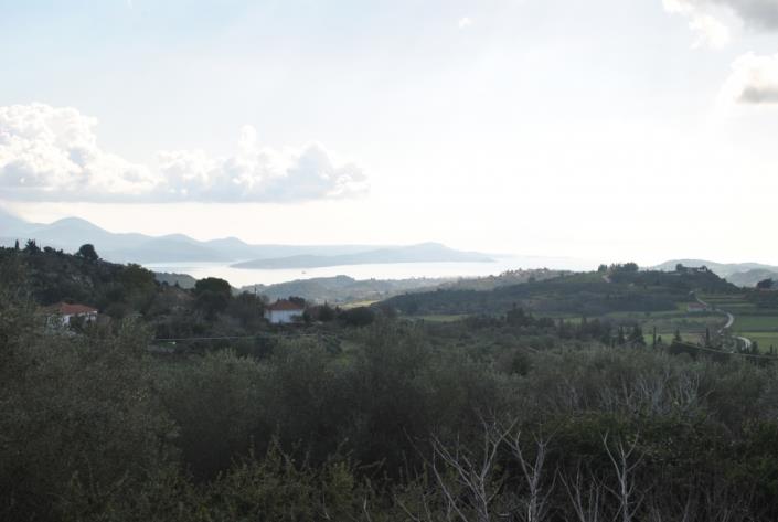 Image No.2-Terre à vendre à Agia Thekli