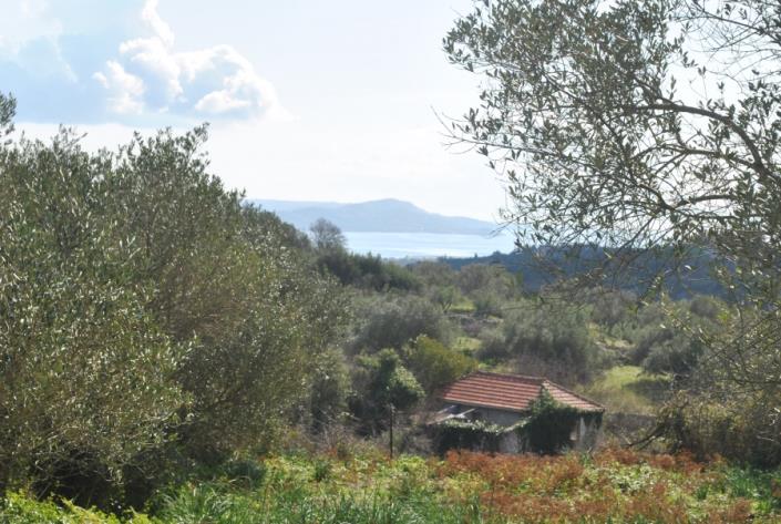 Image No.3-Terre à vendre à Agia Thekli