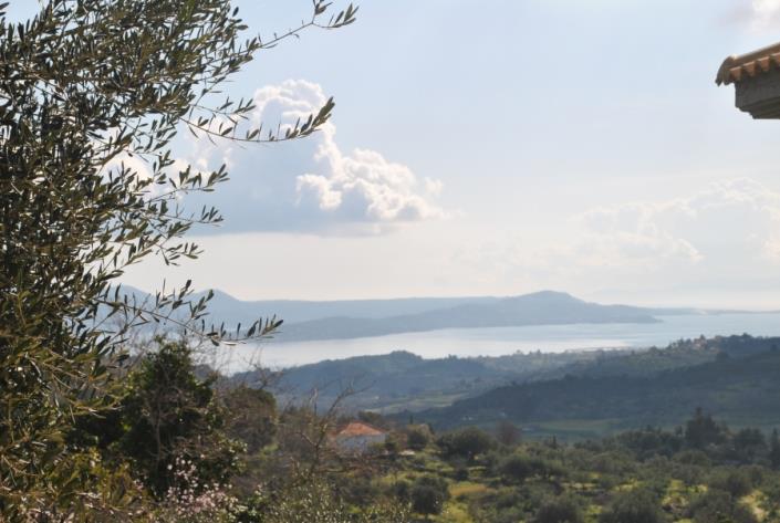 Image No.1-Terre à vendre à Agia Thekli