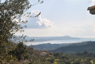 1 - Agia Thekli, Terre