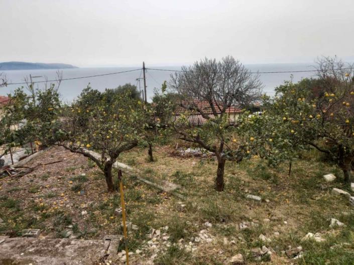 Image No.2-Plot for sale