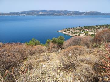 1 - Farsa, Plot