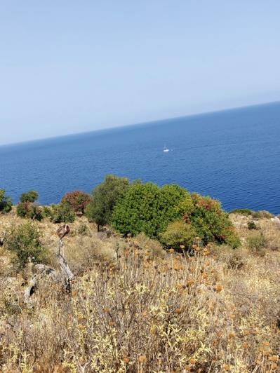 Image No.2-Land for sale