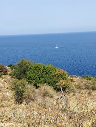 Image No.3-Land for sale