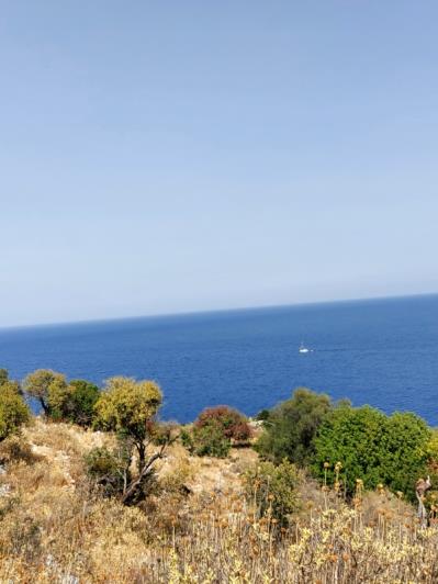 Image No.5-Land for sale