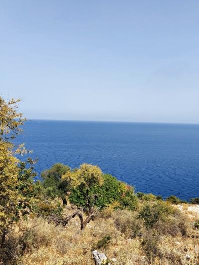 Image No.6-Land for sale