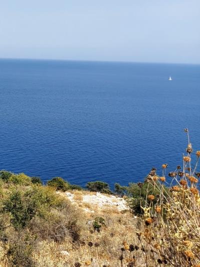 Image No.7-Land for sale