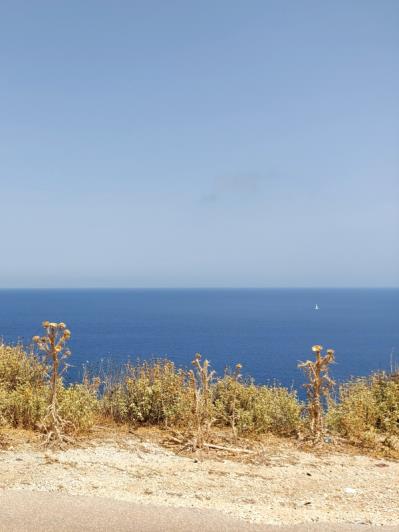 Image No.9-Land for sale