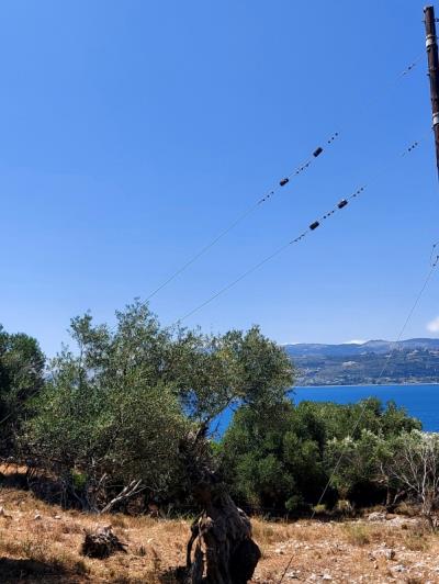 Image No.6-Plot for sale