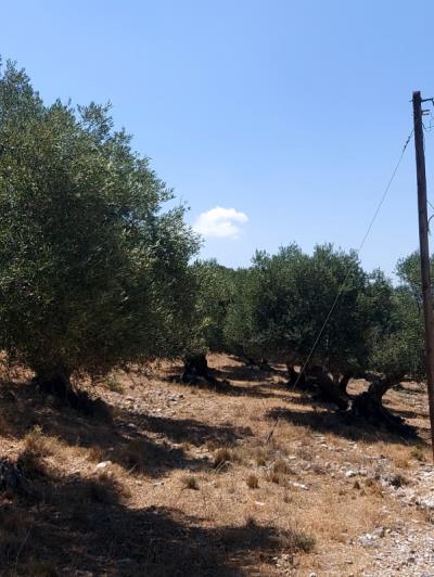 Image No.3-Plot for sale