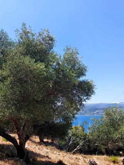 Image No.2-Plot for sale