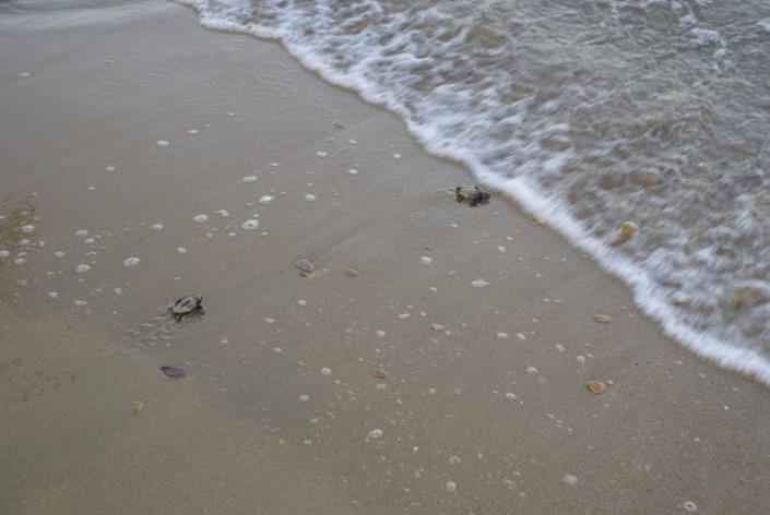 Image No.23-13 Bed Hotel for sale