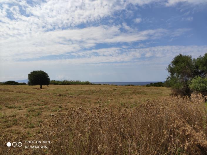 Image No.2-Terrain à vendre à Minies