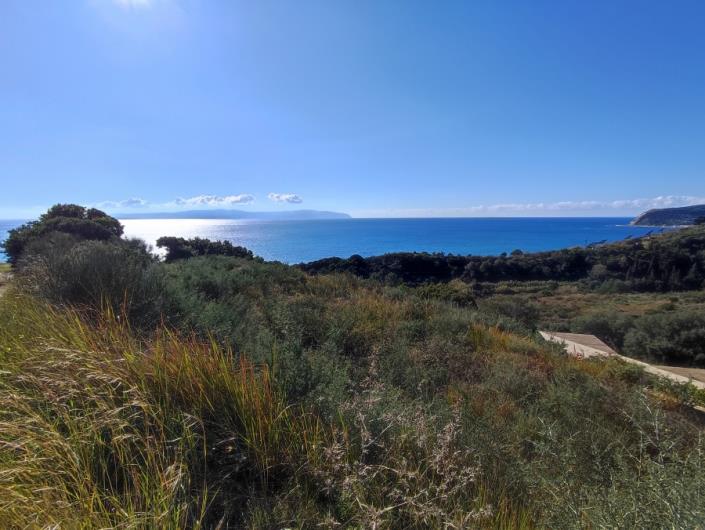 Image No.5-Land for sale