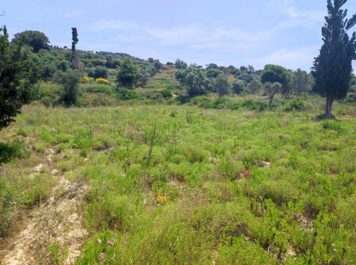 Image No.3-Terrain à vendre à Minies