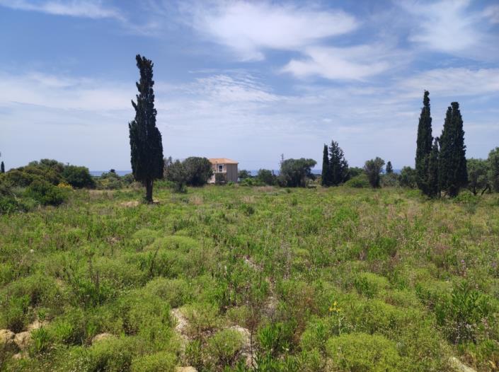 Image No.5-Terrain à vendre à Minies