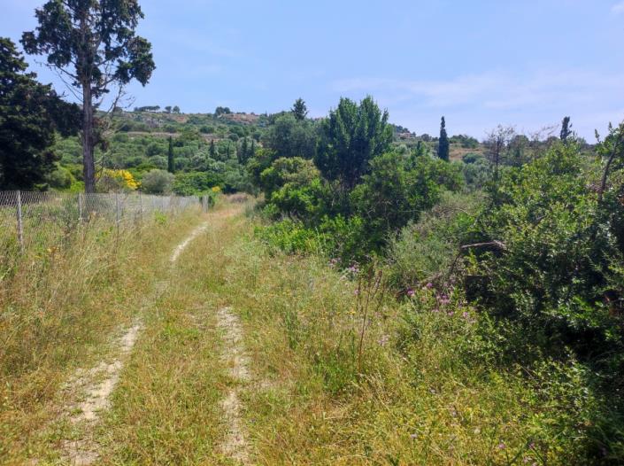 Image No.6-Terrain à vendre à Minies