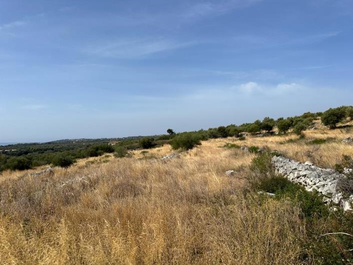 Image No.5-Land for sale