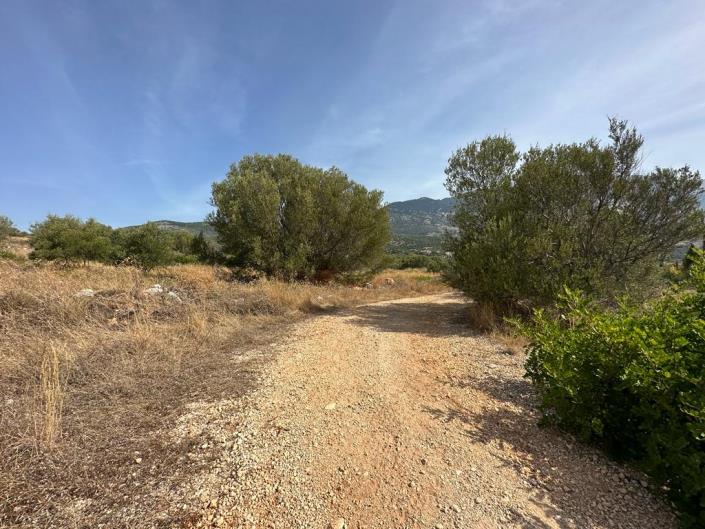 Image No.8-Land for sale