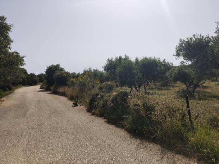 Image No.8-Land for sale