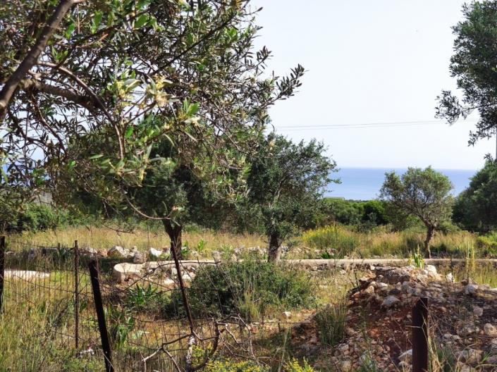 Image No.2-Land for sale