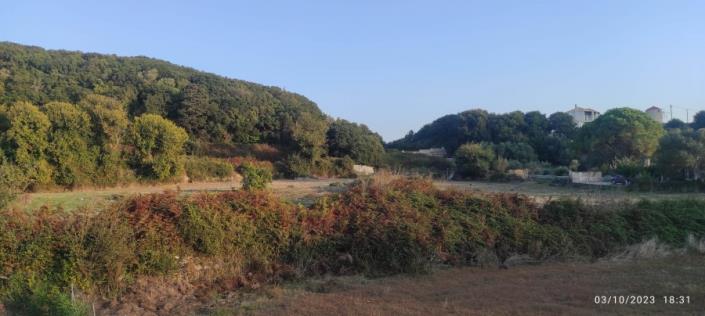 Image No.4-Plot for sale