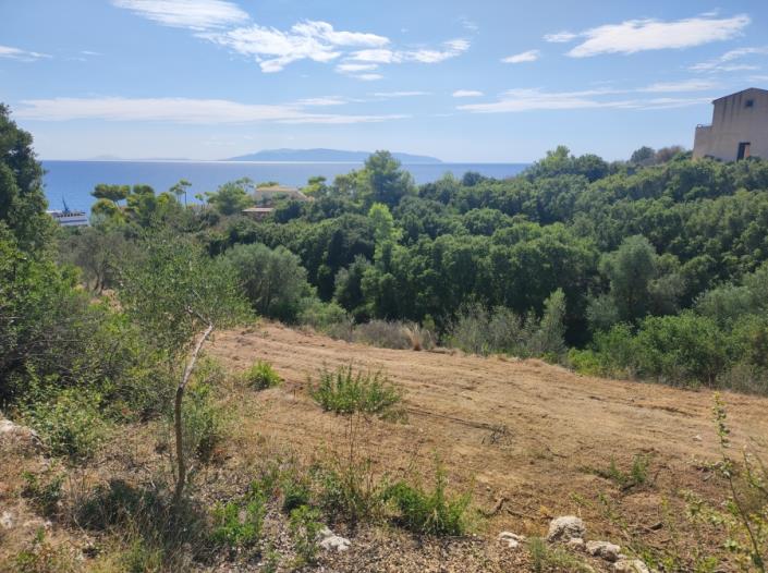 Image No.4-Plot for sale