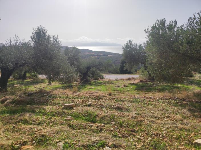 Image No.4-Plot for sale