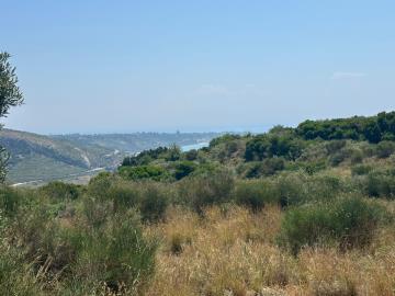 IMG-20250621-WA0009