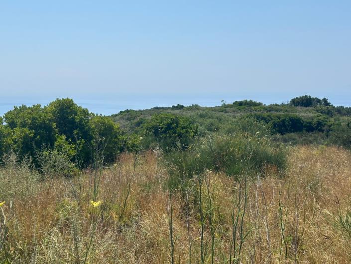 Image No.3-Plot for sale