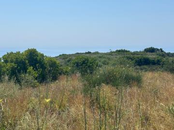 IMG-20250621-WA0013