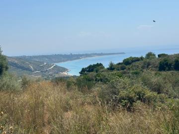 IMG-20250621-WA0010
