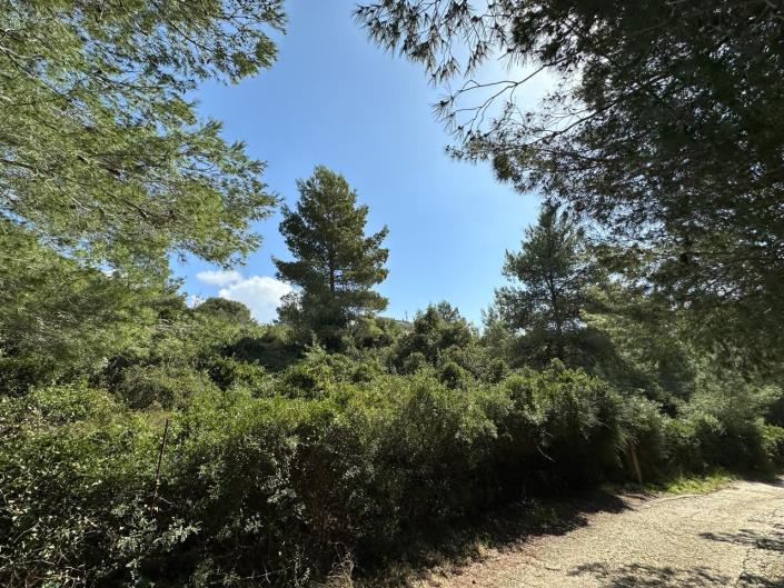 Image No.5-Plot for sale