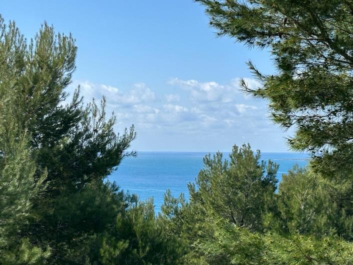 Image No.2-Plot for sale