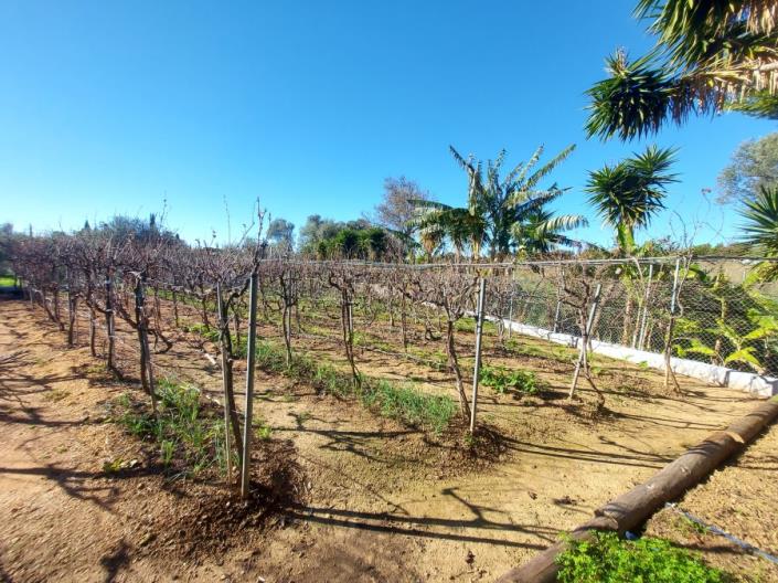 Image No.7-Villa / Détaché de 5 chambres à vendre à Svoronata