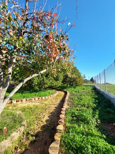 Image No.13-Villa / Détaché de 5 chambres à vendre à Svoronata