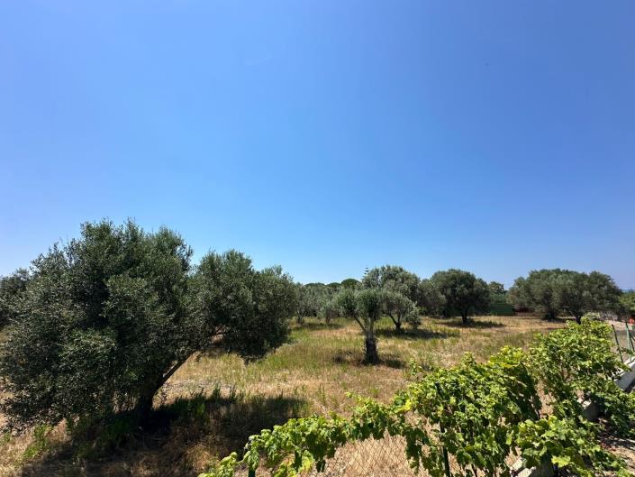Image No.1-Land for sale