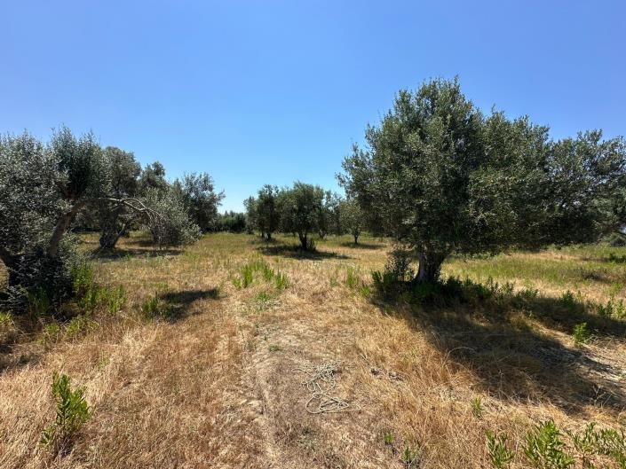 Image No.3-Land for sale