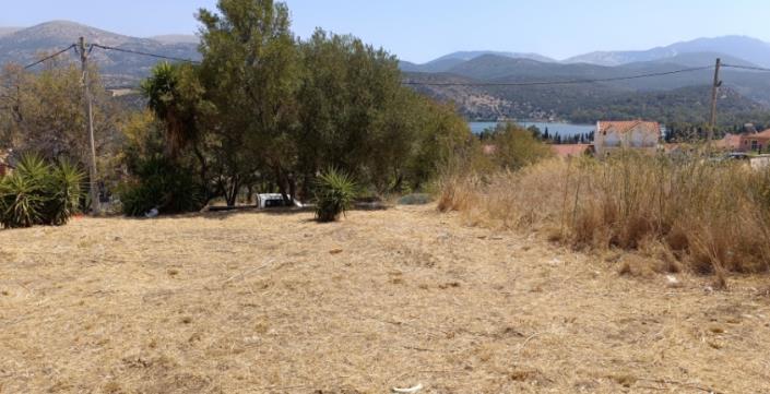 Image No.13-Plot for sale