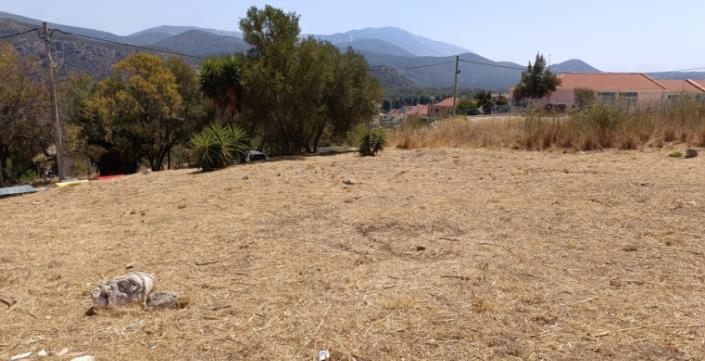 Image No.15-Plot for sale