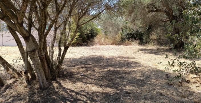 Image No.12-Plot for sale