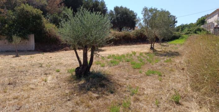 Image No.3-Plot for sale