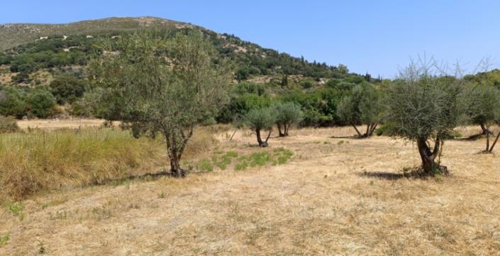 Image No.7-Plot for sale