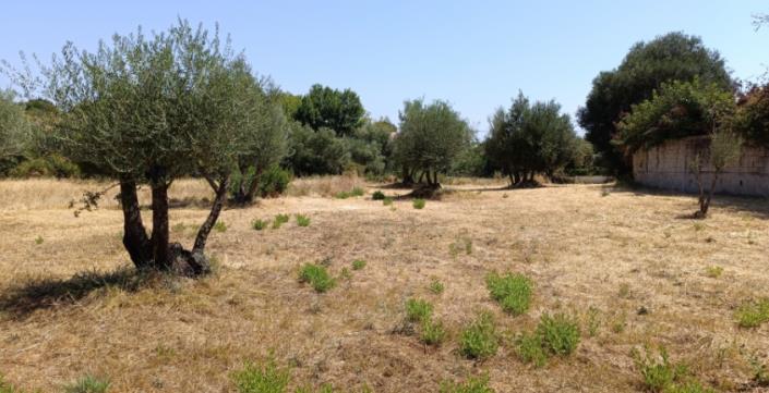 Image No.11-Plot for sale