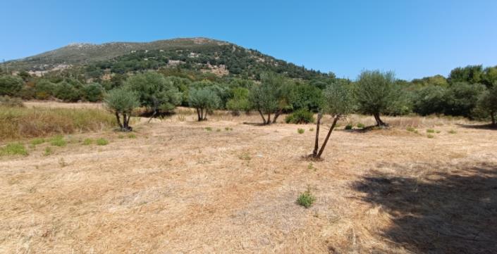 Image No.16-Plot for sale