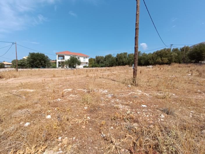 Image No.7-Terrain à vendre à Razata