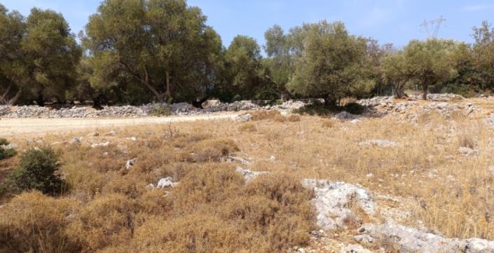Image No.1-Plot for sale
