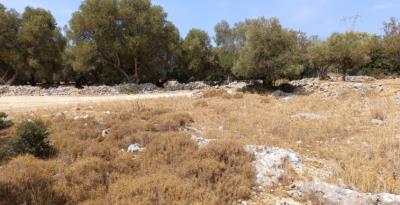 1 - Razata, Terrain