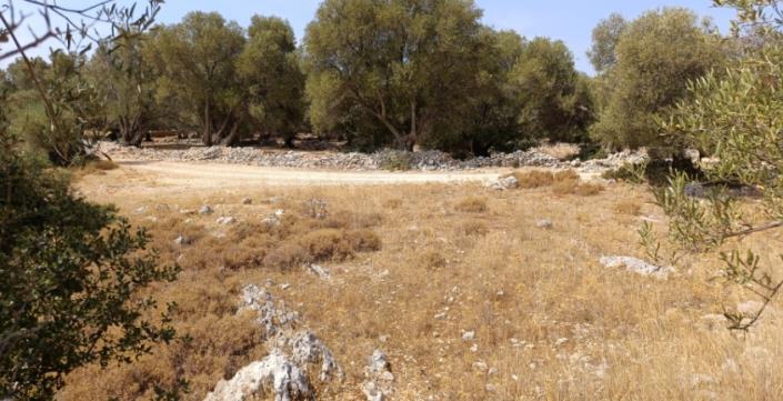 Image No.10-Plot for sale